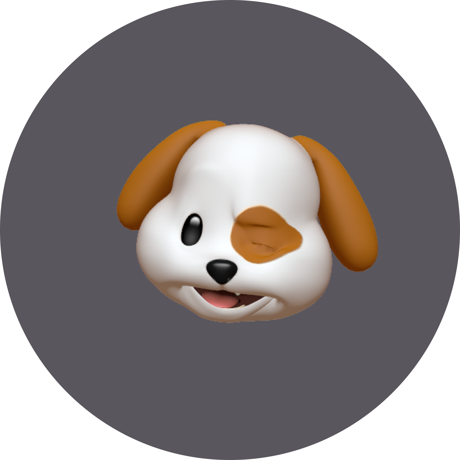 Icon 2