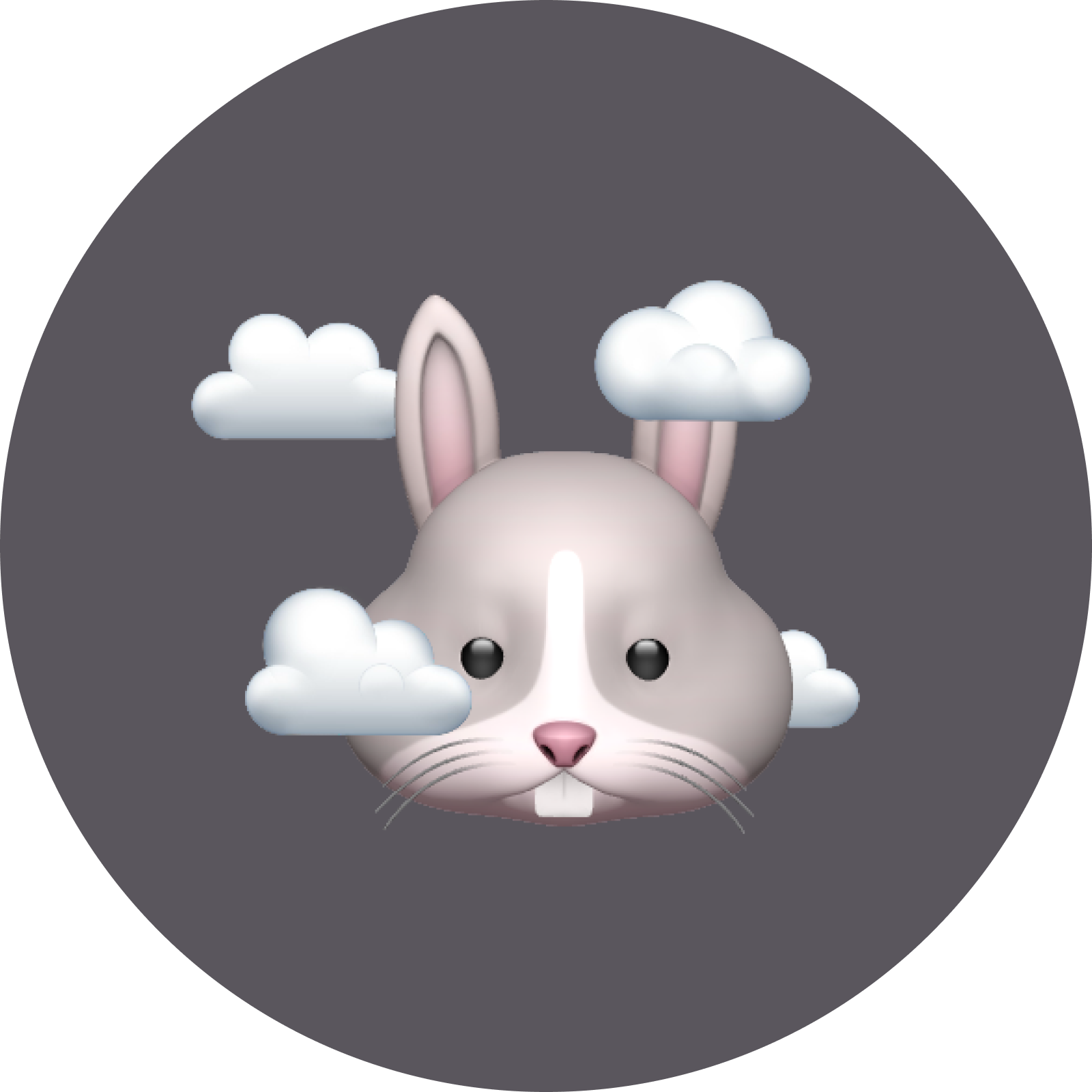 Icon 6